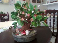 /album/fotogaleria-bonsai-hecho-con-porcelana-fria-y-pintado-a-mano/foto0477-jpg/
